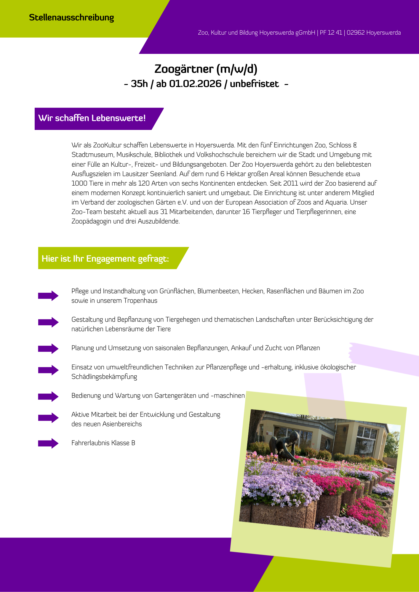 Das Bild beinhaltet eine Stellenausschreibung für die ZooKultur in Hoyerswerda. Der Inhalt der Anzeige ist unter dem Bild als Textformat dargestellt.